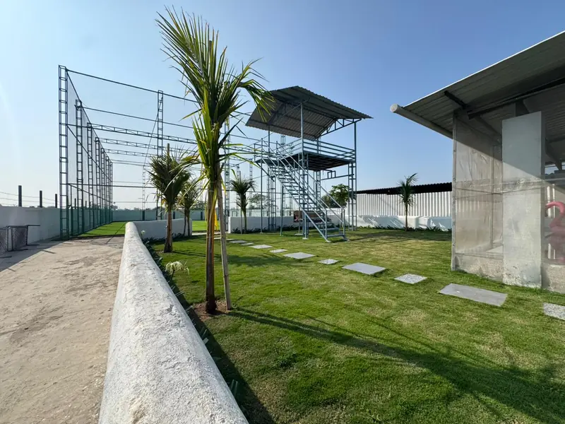 Green lawn with palm trees and stepping stones beside the box cricket net